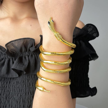 Multi - Style Snake Blended Choker